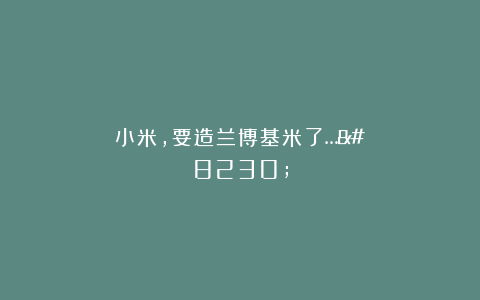 小米，要造兰博基米了……