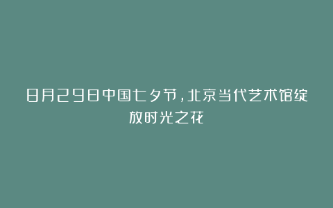 8月29日中国七夕节，北京当代艺术馆绽放时光之花