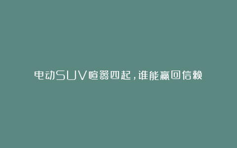 电动SUV喧嚣四起，谁能赢回信赖？