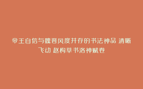 帝王自信与魏晋风度并存的书法神品！清晰飞动！赵构草书洛神赋卷
