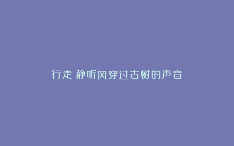 行走丨静听风穿过古树的声音