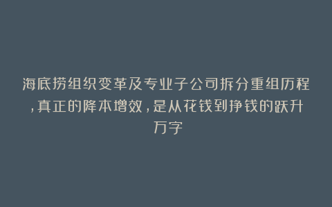 海底捞组织变革及专业子公司拆分重组历程，真正的降本增效，是从花钱到挣钱的跃升（万字）