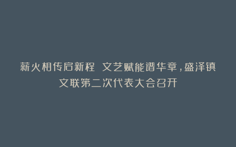 薪火相传启新程 文艺赋能谱华章，盛泽镇文联第二次代表大会召开