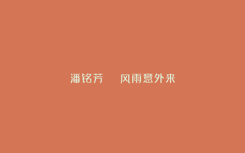 潘铭芳 | 风雨意外来