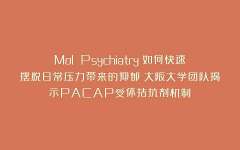Mol Psychiatry：如何快速摆脱日常压力带来的抑郁？大阪大学团队揭示PACAP受体拮抗剂机制​