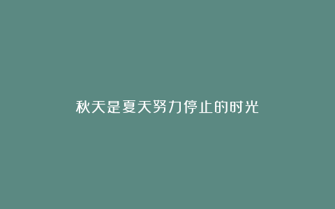 秋天是夏天努力停止的时光