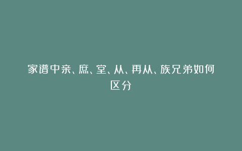 家谱中亲、庶、堂、从、再从、族兄弟如何区分