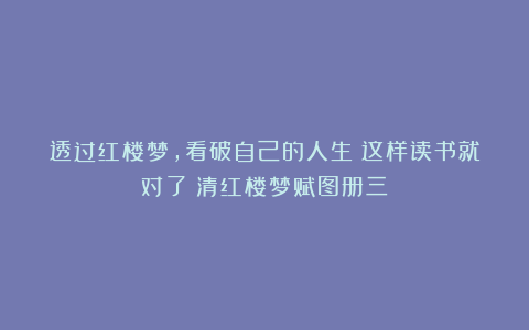 透过红楼梦，看破自己的人生！这样读书就对了！清红楼梦赋图册三