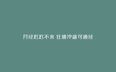 月经迟迟不来？任通冲盛可通经