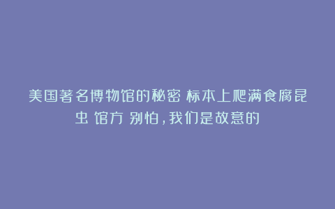 美国著名博物馆的秘密：标本上爬满食腐昆虫！馆方：别怕，我们是故意的！
