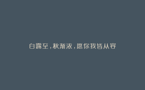 白露至，秋渐浓，愿你我皆从容