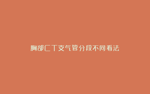 胸部CT支气管分段不同看法③