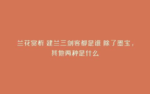 兰花赏析：建兰三剑客都是谁？除了墨宝，其他两种是什么？