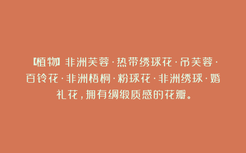 【植物】非洲芙蓉·热带绣球花·吊芙蓉·百铃花·非洲梧桐·粉球花·非洲绣球·婚礼花，拥有绸缎质感的花瓣。