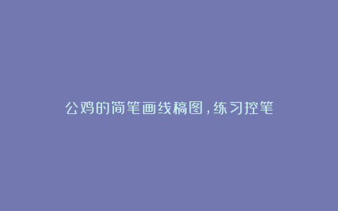 公鸡的简笔画线稿图，练习控笔
