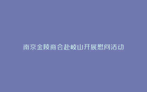 南京金陵商会赴岐山开展慰问活动