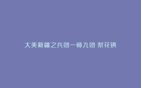 大美新疆之兵团一师九团（梨花镇）