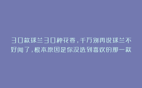 30款球兰30种花香，千万别再说球兰不好闻了，根本原因是你没选到喜欢的那一款