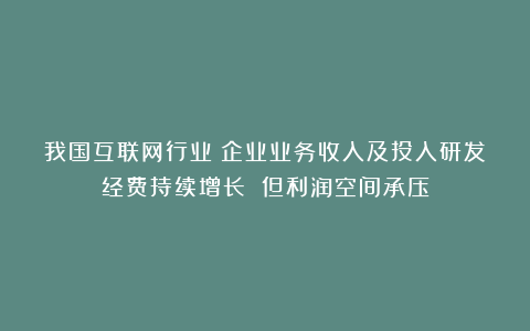 我国互联网行业：企业业务收入及投入研发经费持续增长 但利润空间承压