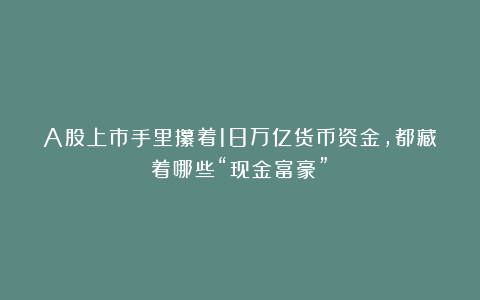A股上市手里攥着18万亿货币资金，都藏着哪些“现金富豪”？