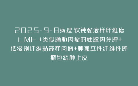 2025-9-8病理：软骨黏液样纤维瘤（CMF）+类似脂肪肉瘤的硅胶肉芽肿+低级别纤维黏液样肉瘤+肺孤立性纤维性肿瘤包绕肺上皮