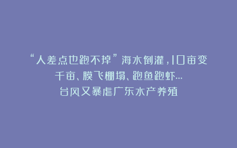 “人差点也跑不掉”！海水倒灌，10亩变千亩、膜飞棚塌、跑鱼跑虾…台风又暴虐广东水产养殖