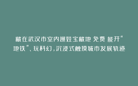 藏在武汉市室内遛娃宝藏地：免费！能开“地铁”、玩科幻，沉浸式触摸城市发展轨迹