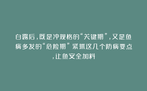 白露后，既是冲规格的“关键期”，又是鱼病多发的“危险期”！紧抓这几个防病要点，让鱼安全加料！