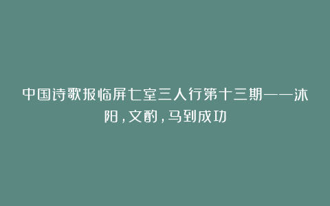 中国诗歌报临屏七室三人行第十三期——沐阳，文酌，马到成功