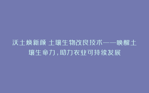 沃土焕新颜：土壤生物改良技术——唤醒土壤生命力，助力农业可持续发展