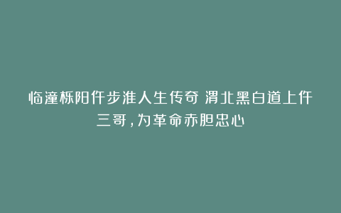 临潼栎阳仵步淮人生传奇：渭北黑白道上仵三哥，为革命赤胆忠心