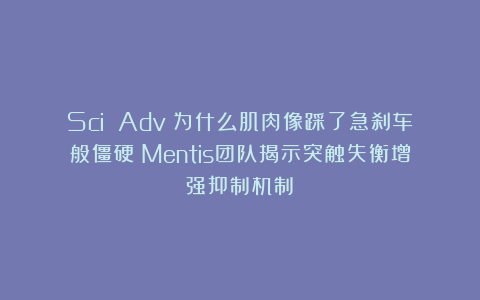 Sci Adv：为什么肌肉像踩了急刹车般僵硬？Mentis团队揭示突触失衡增强抑制机制​