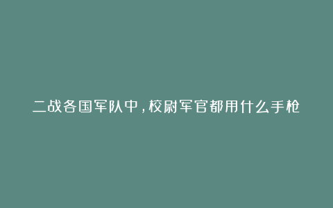 二战各国军队中，校尉军官都用什么手枪？