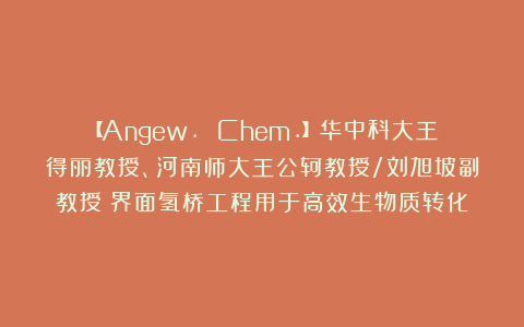 【Angew. Chem.】华中科大王得丽教授、河南师大王公轲教授/刘旭坡副教授：界面氢桥工程用于高效生物质转化