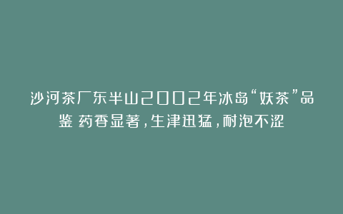 沙河茶厂东半山2002年冰岛“妖茶”品鉴：药香显著，生津迅猛，耐泡不涩