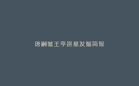 唐嗣虢王李邕墓发掘简报