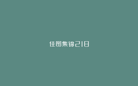 佳图集锦218