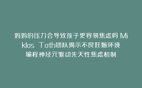 妈妈的压力会导致孩子更容易焦虑吗？Miklos Toth团队揭示不良妊娠环境编程神经元驱动先天性焦虑机制​
