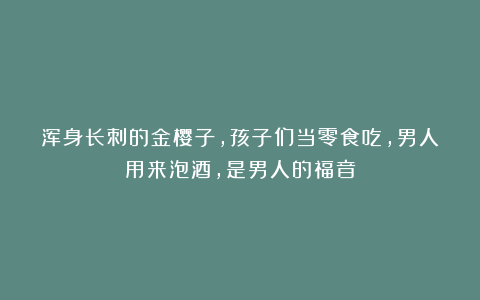 浑身长刺的金樱子，孩子们当零食吃，男人用来泡酒，是男人的福音