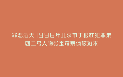 罪恶滔天！1996年北京市于根柱犯罪集团二号人物张宝奇案侦破始末
