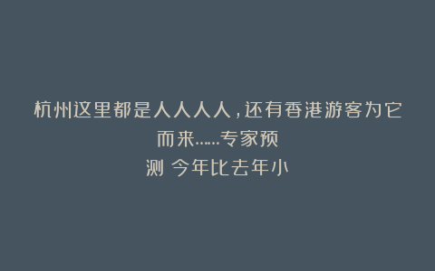 杭州这里都是人人人人，还有香港游客为它而来……专家预测：今年比去年小！