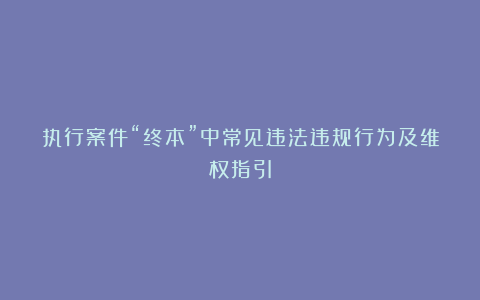 执行案件“终本”中常见违法违规行为及维权指引