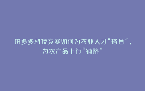 拼多多科技竞赛如何为农业人才“搭台”，为农产品上行“铺路”？