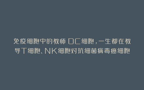 免疫细胞中的教师：DC细胞，一生都在教导T细胞、NK细胞对抗细菌病毒癌细胞