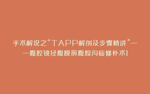 手术解说之“TAPP解剖及步骤精讲”——腹腔镜经腹膜前腹股沟疝修补术1