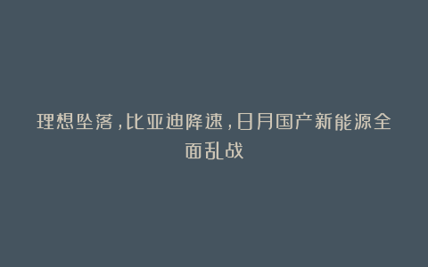 理想坠落，比亚迪降速，8月国产新能源全面乱战