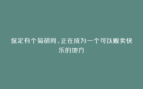 保定有个菊胡同，正在成为一个可以贩卖快乐的地方