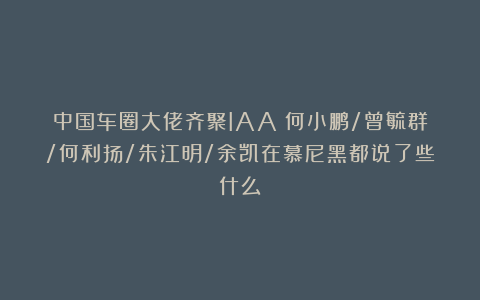 中国车圈大佬齐聚IAA：何小鹏/曾毓群/何利扬/朱江明/余凯在慕尼黑都说了些什么？