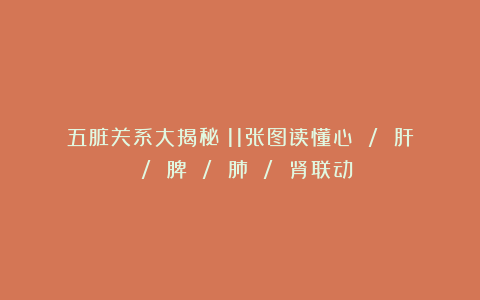 五脏关系大揭秘！11张图读懂心 / 肝 / 脾 / 肺 / 肾联动