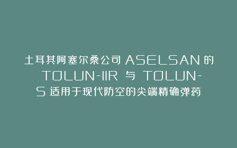 土耳其阿塞尔桑公司（ASELSAN）的 TOLUN-IIR 与 TOLUN-S：适用于现代防空的尖端精确弹药